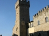 arezzo8